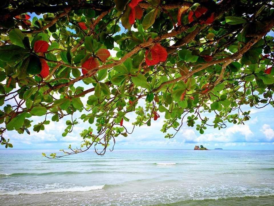 ทีพักติดหาดแหลม​แม่พิมพ์​Mantra Condo​ Rayong​ Ban Ang Zewnętrze zdjęcie